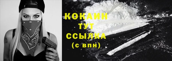 ГАЛЛЮЦИНОГЕННЫЕ ГРИБЫ Карталы