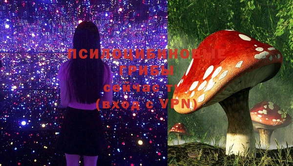 ГАЛЛЮЦИНОГЕННЫЕ ГРИБЫ Касимов