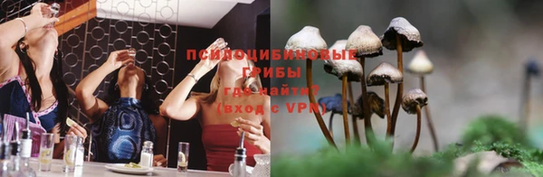 ГАЛЛЮЦИНОГЕННЫЕ ГРИБЫ Карталы