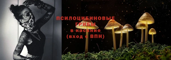 ГАЛЛЮЦИНОГЕННЫЕ ГРИБЫ Касимов