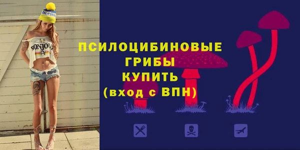 ГАЛЛЮЦИНОГЕННЫЕ ГРИБЫ Касимов