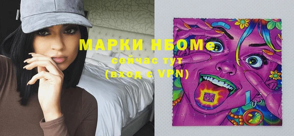хмурый Карпинск