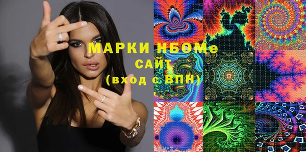 хмурый Карпинск