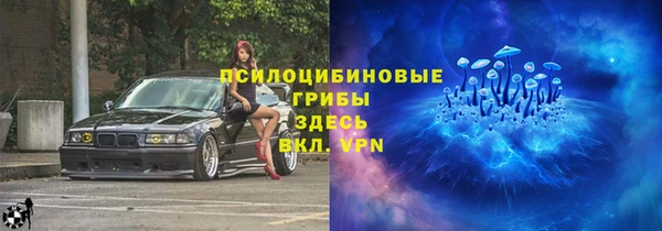 хмурый Карпинск