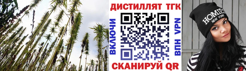 Купить где  Приморск  ТГК вейп с тгк 