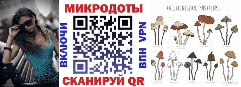 Галлюциногенные грибы Psilocybine cubensis  Купить закладки  Приморск 