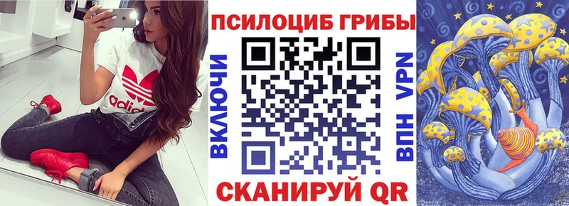 Галлюциногенные грибы GOLDEN TEACHER Приморск